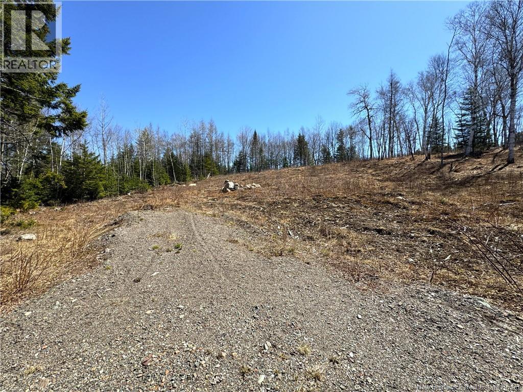 Lot 18-02 Damian Lane, St George, New Brunswick  E5C 0C3 - Photo 7 - NB139022