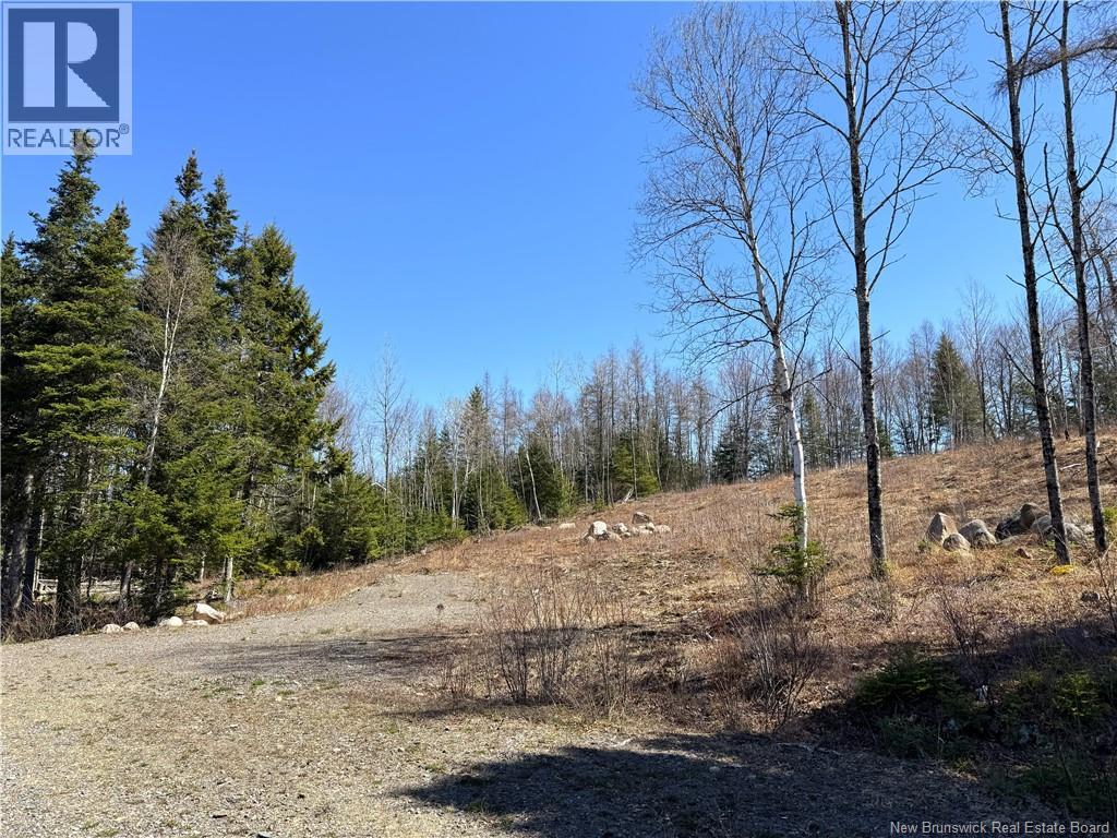 Lot 18-02 Damian Lane, St George, New Brunswick  E5C 0C3 - Photo 8 - NB139022