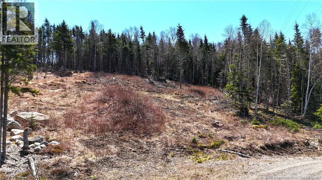 Lot 18-03 Damian Lane, St George, New Brunswick