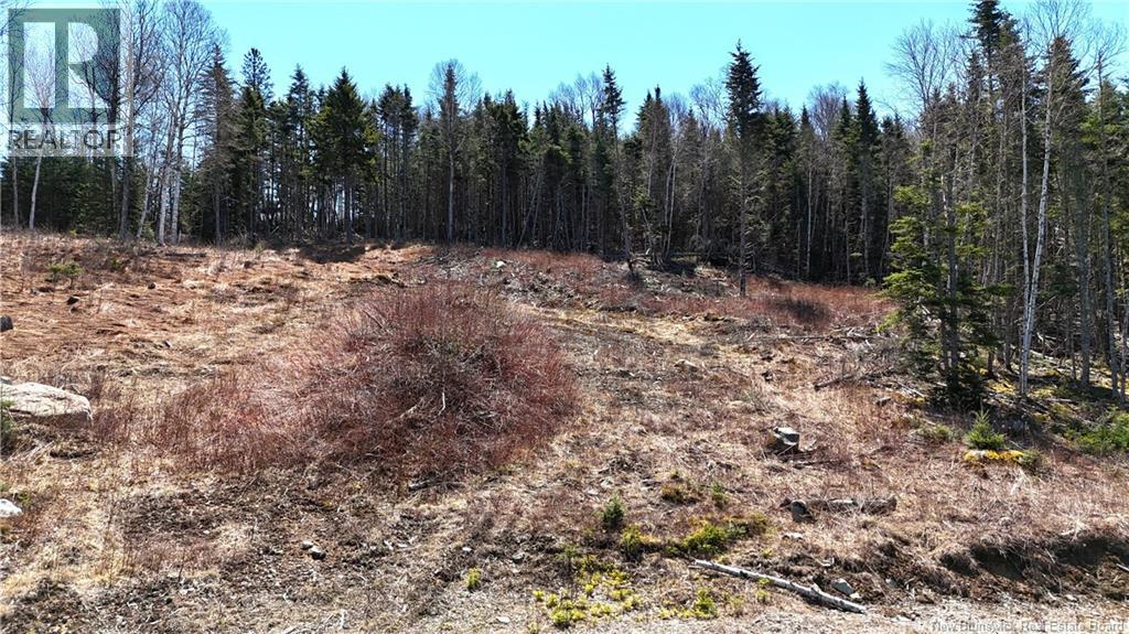 Lot 18-03 Damian Lane, St George, New Brunswick  E5C 0C3 - Photo 2 - NB139123