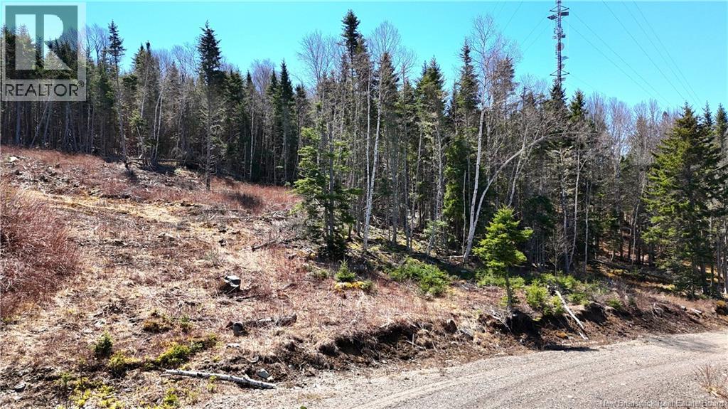 Lot 18-03 Damian Lane, St George, New Brunswick  E5C 0C3 - Photo 3 - NB139123