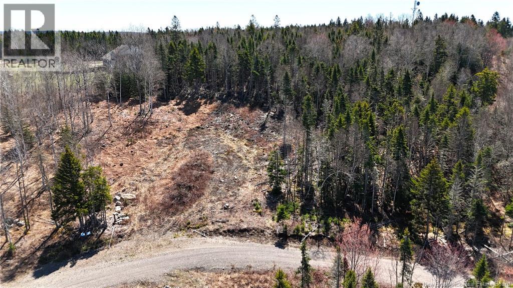 Lot 18-03 Damian Lane, St George, New Brunswick  E5C 0C3 - Photo 4 - NB139123