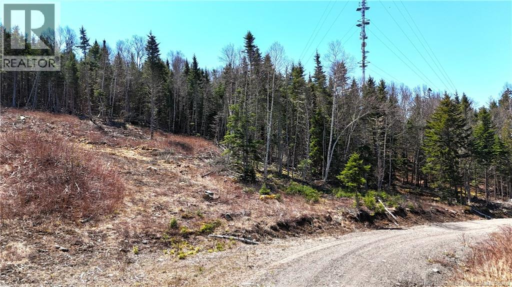 Lot 18-03 Damian Lane, St George, New Brunswick  E5C 0C3 - Photo 7 - NB139123