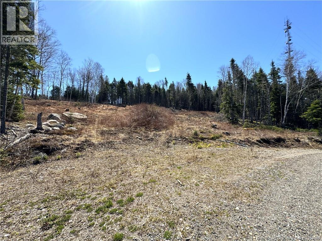 Lot 18-03 Damian Lane, St George, New Brunswick  E5C 0C3 - Photo 8 - NB139123