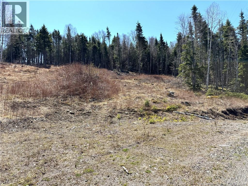 Lot 18-03 Damian Lane, St George, New Brunswick  E5C 0C3 - Photo 9 - NB139123