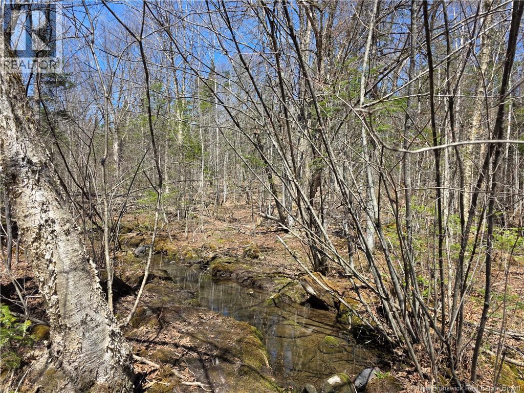 1175 Route 127, Rollingdam, New Brunswick  E5B 3E8 - Photo 7 - NB138786