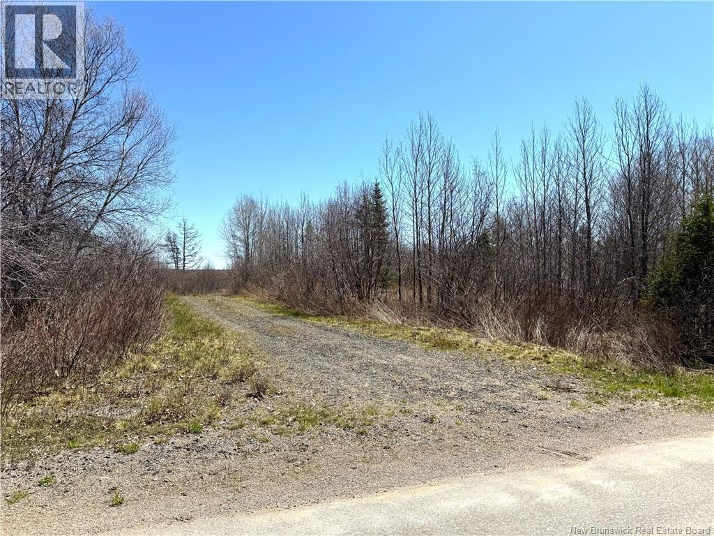16 Letang Road, Upper Letang, New Brunswick E5C 2C4 - Photo 13 - NB139234