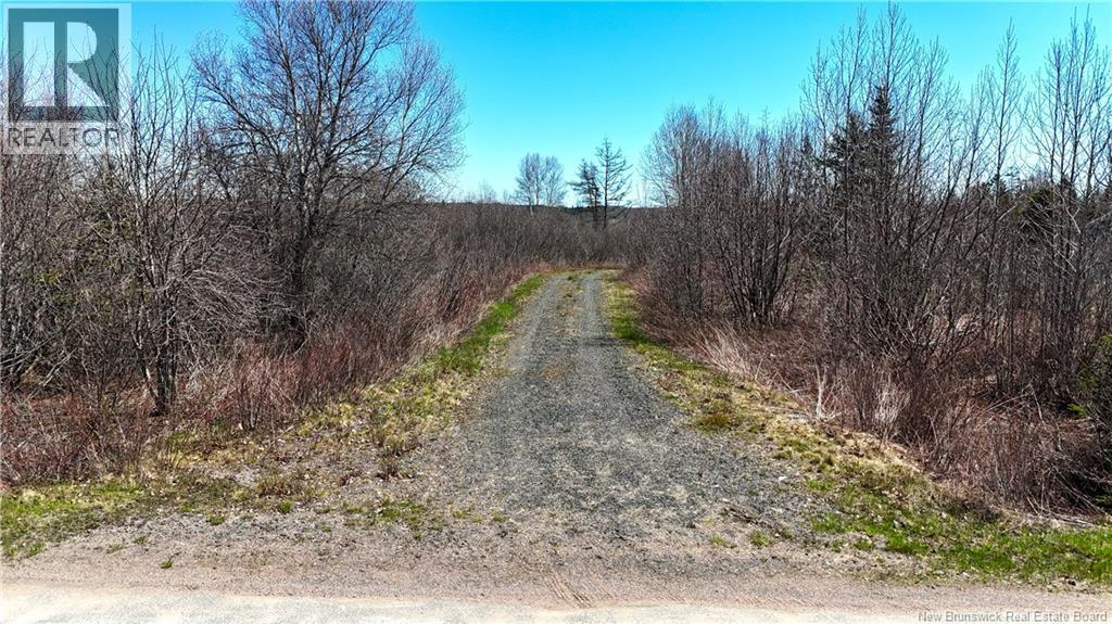 16 Letang Road, Upper Letang, New Brunswick E5C 2C4 - Photo 14 - NB139234