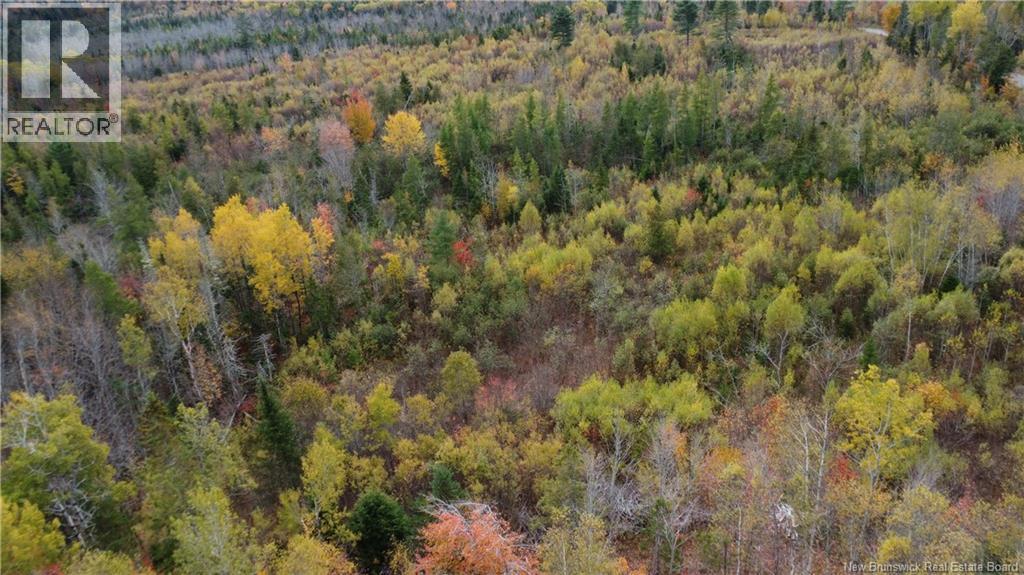 339 Mcminn Road, Rollingdam, New Brunswick E5A 1B2 - Photo 7 - NB139539
