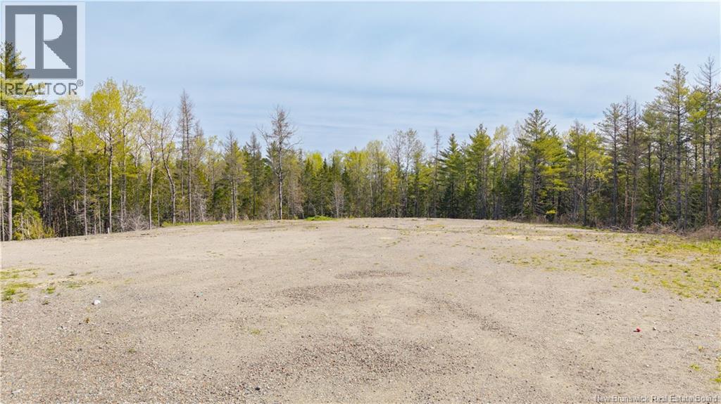86 Hayman Avenue, St. Stephen, New Brunswick  E3L 5E4 - Photo 26 - NB139627