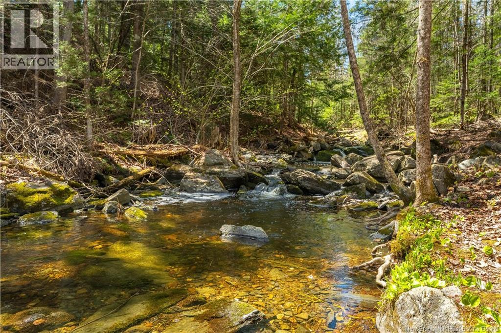 752 Route 127, Rollingdam, New Brunswick  E5A 2V6 - Photo 41 - NB139348
