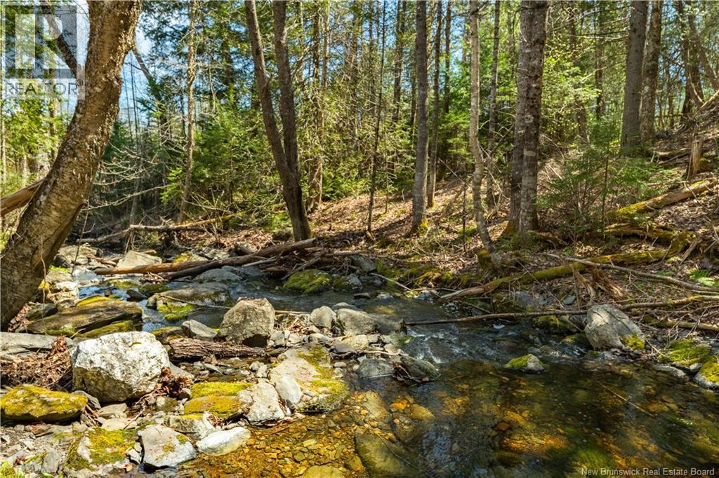 752 Route 127, Rollingdam, New Brunswick  E5A 2V6 - Photo 42 - NB139348