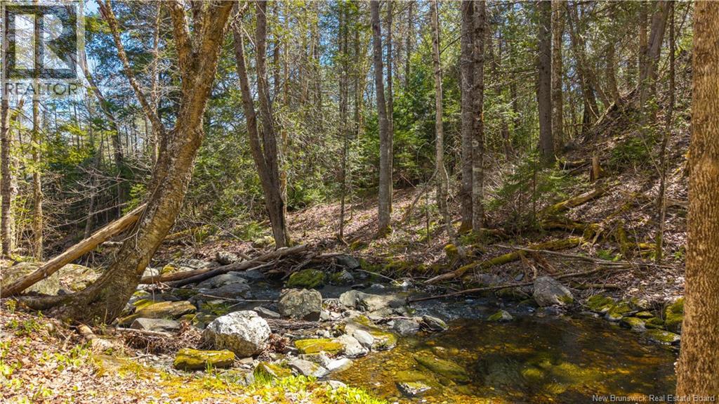 752 Route 127, Rollingdam, New Brunswick  E5A 2V6 - Photo 47 - NB139348
