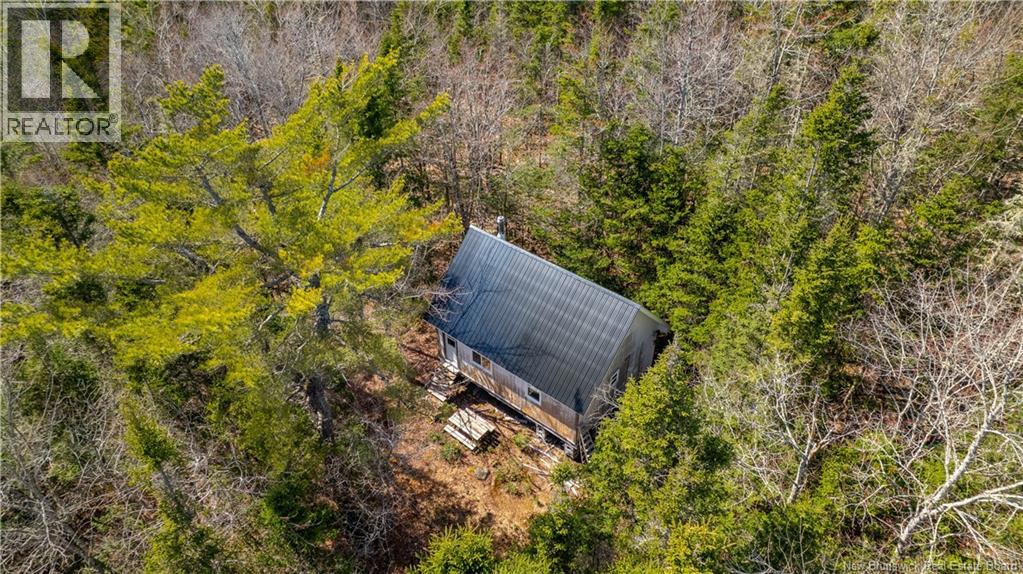 Lot 00 Frye Road, Chamcook, New Brunswick E5B 0C4 - Photo 6 - NB139699