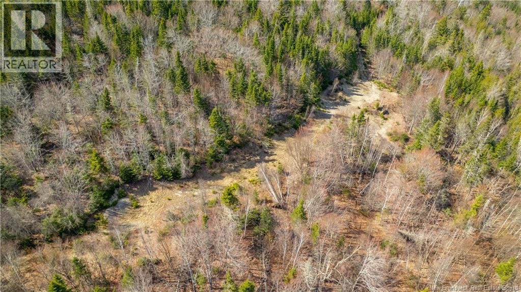 Lot 00 Frye Road, Chamcook, New Brunswick E5B 0C4 - Photo 7 - NB139699