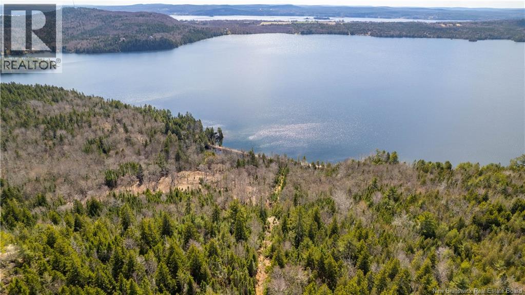 Lot 2021-01 And 02 Frye Road, Chamcook, New Brunswick E5B 0C3 - Photo 13 - NB139646