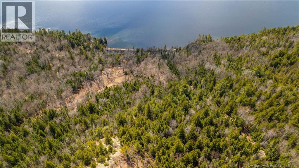 Lot 2021-01 And 02 Frye Road, Chamcook, New Brunswick E5B 0C3 - Photo 14 - NB139646