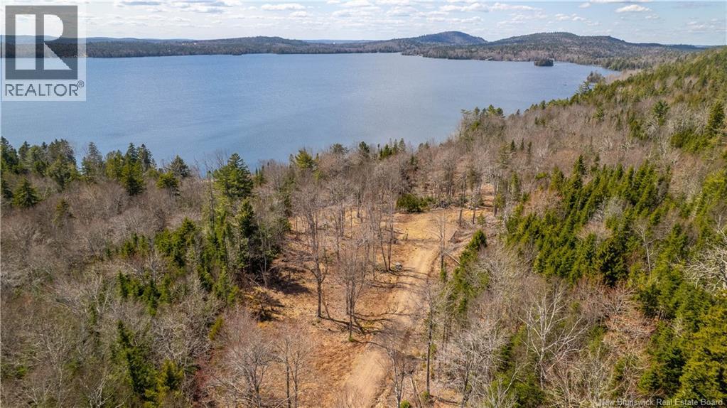 Lot 2021-01 And 02 Frye Road, Chamcook, New Brunswick E5B 0C3 - Photo 16 - NB139646