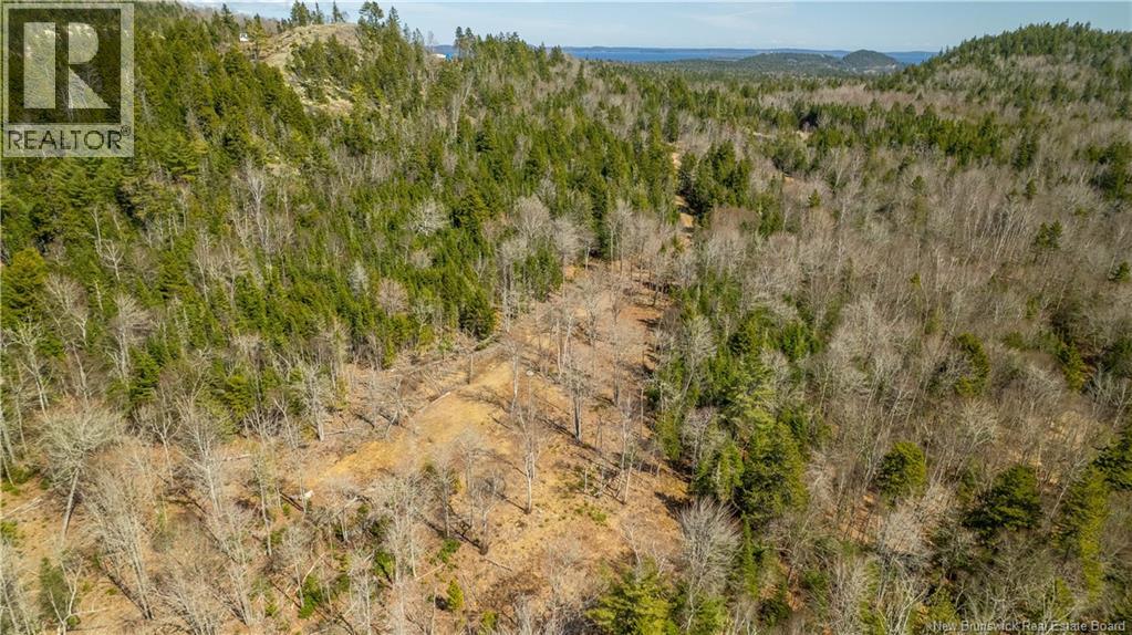 Lot 2021-01 And 02 Frye Road, Chamcook, New Brunswick E5B 0C3 - Photo 17 - NB139646