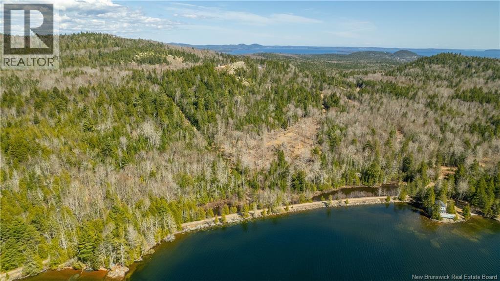 Lot 2021-01 And 02 Frye Road, Chamcook, New Brunswick E5B 0C3 - Photo 18 - NB139646