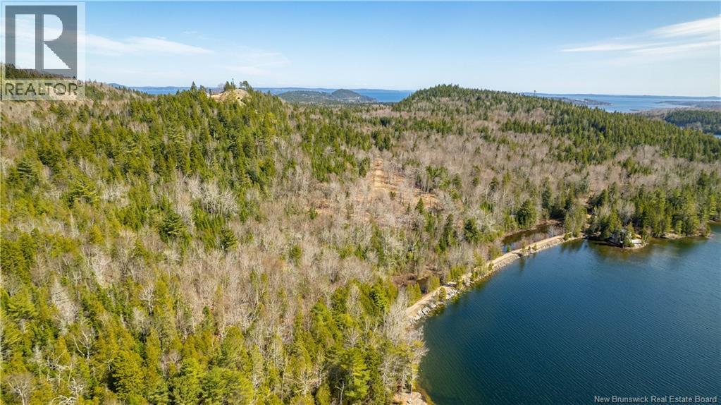 Lot 2021-01 And 02 Frye Road, Chamcook, New Brunswick E5B 0C3 - Photo 19 - NB139646