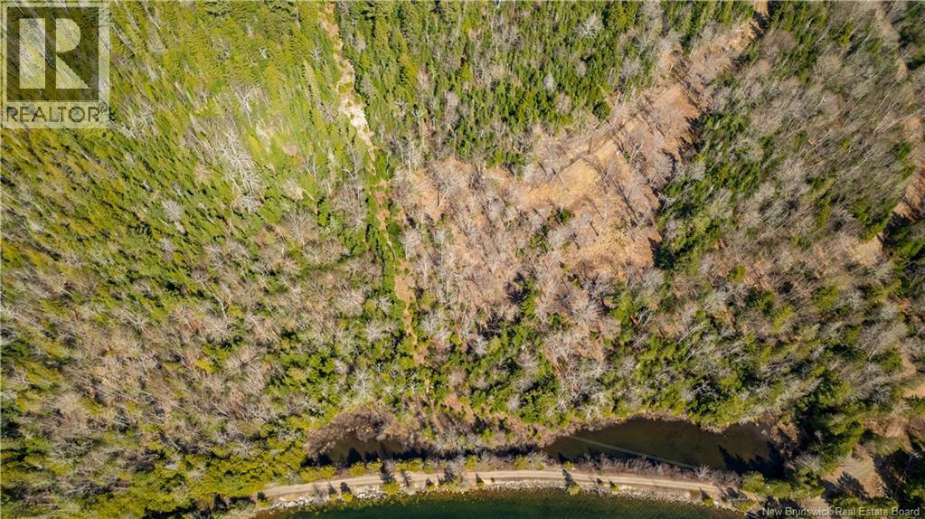 Lot 2021-01 And 02 Frye Road, Chamcook, New Brunswick E5B 0C3 - Photo 5 - NB139646
