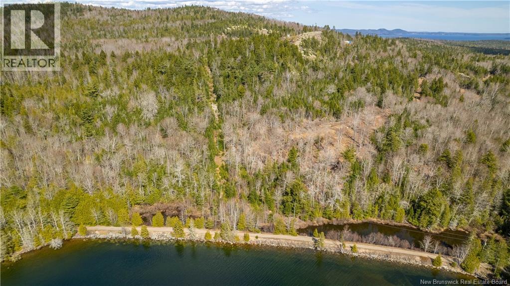 Lot 2021-01 And 02 Frye Road, Chamcook, New Brunswick E5B 0C3 - Photo 6 - NB139646