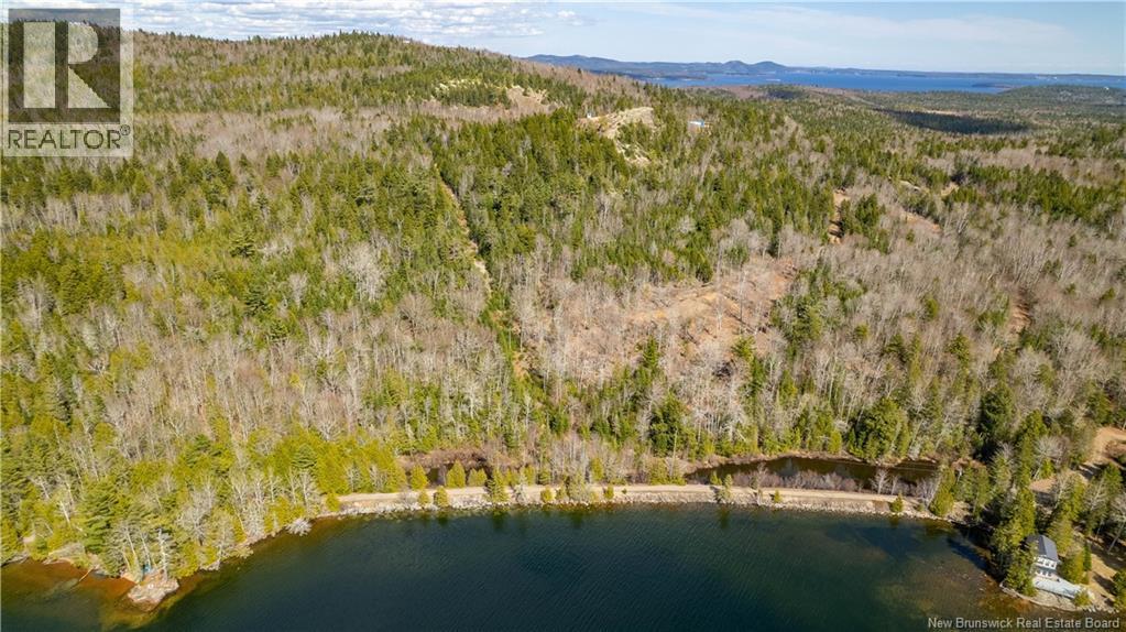 Lot 2021-01 And 02 Frye Road, Chamcook, New Brunswick E5B 0C3 - Photo 7 - NB139646