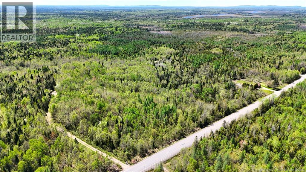 395 Route 630, Andersonville, New Brunswick  E5A 1C8 - Photo 10 - NB139819