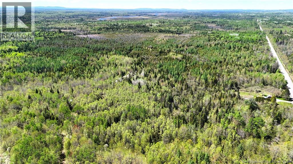 395 Route 630, Andersonville, New Brunswick  E5A 1C8 - Photo 17 - NB139819