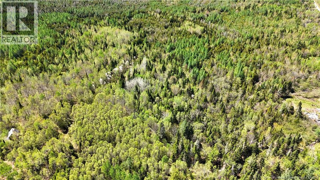 395 Route 630, Andersonville, New Brunswick  E5A 1C8 - Photo 20 - NB139819