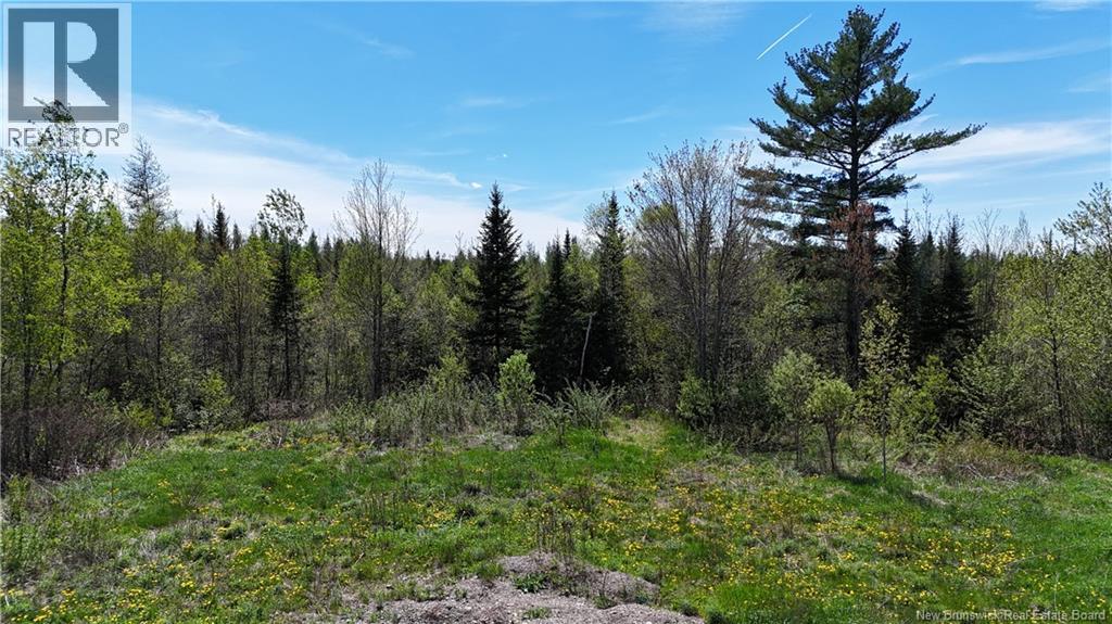 395 Route 630, Andersonville, New Brunswick  E5A 1C8 - Photo 6 - NB139819