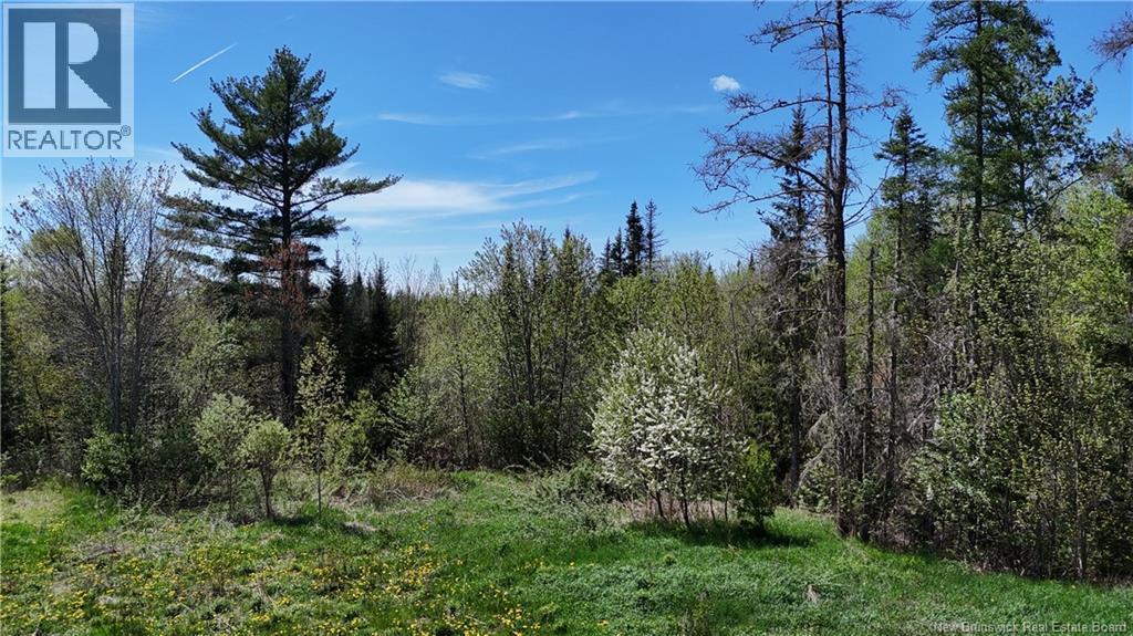 395 Route 630, Andersonville, New Brunswick  E5A 1C8 - Photo 7 - NB139819