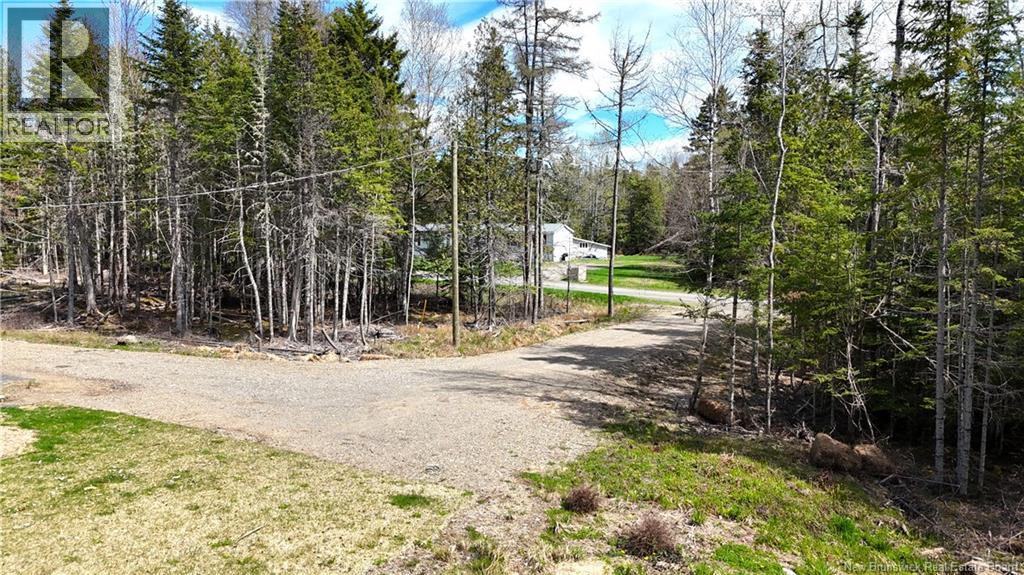 39 L Harkness Road, Chamcook, New Brunswick  E5B 3E7 - Photo 31 - NB139900