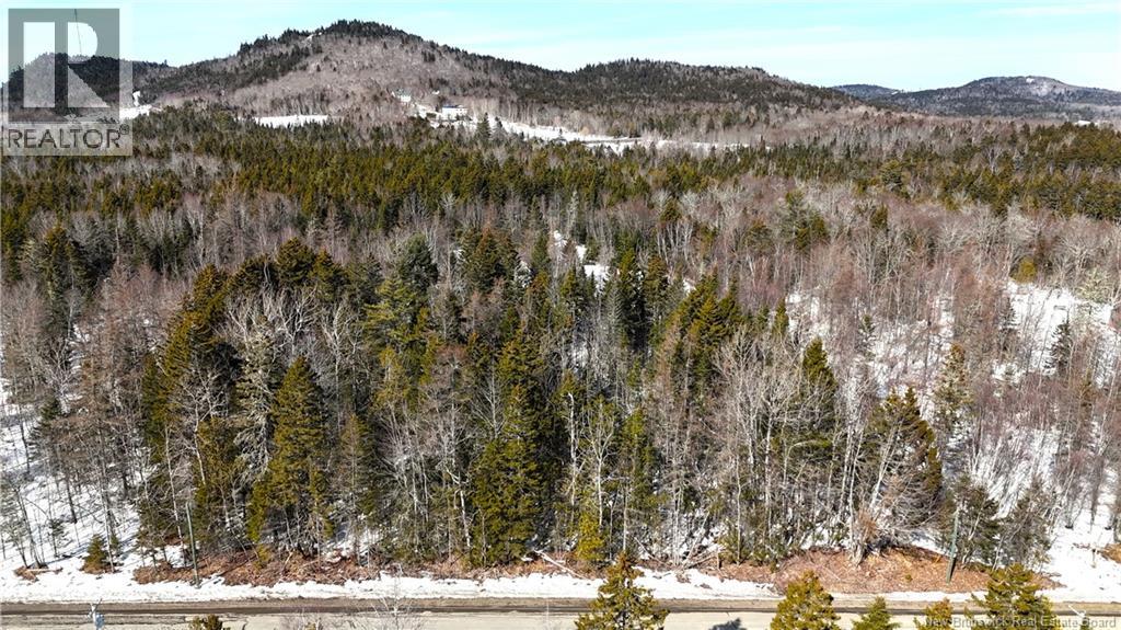 39 L Harkness Road, Chamcook, New Brunswick  E5B 3E7 - Photo 37 - NB139900