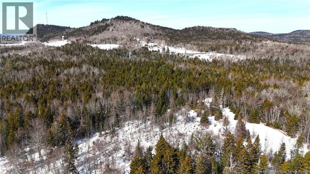 39 L Harkness Road, Chamcook, New Brunswick  E5B 3E7 - Photo 39 - NB139900