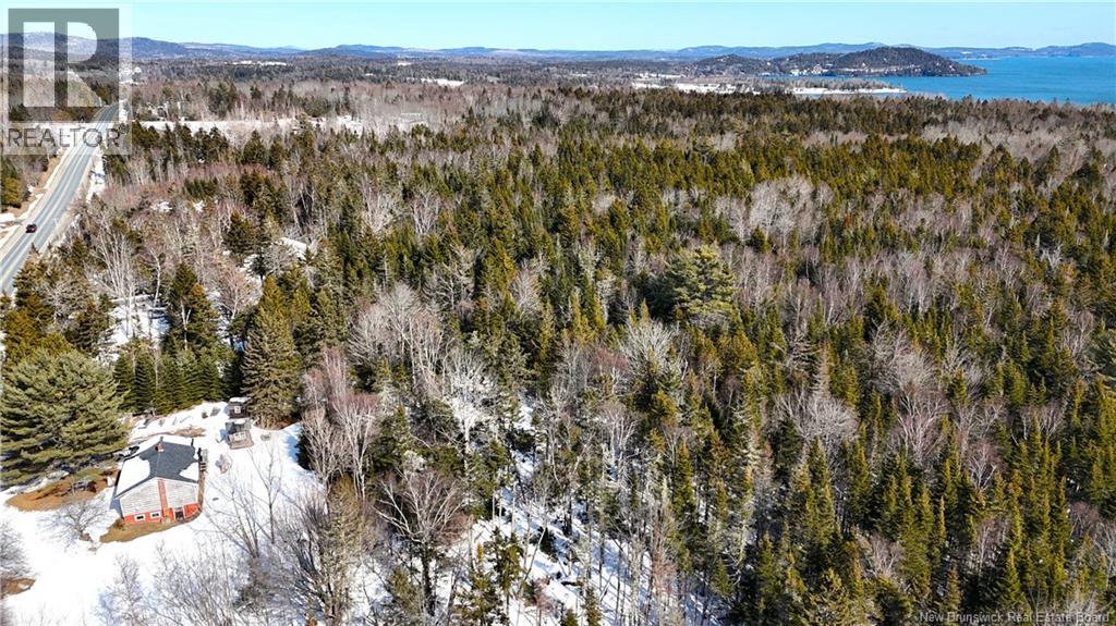 39 L Harkness Road, Chamcook, New Brunswick  E5B 3E7 - Photo 41 - NB139900