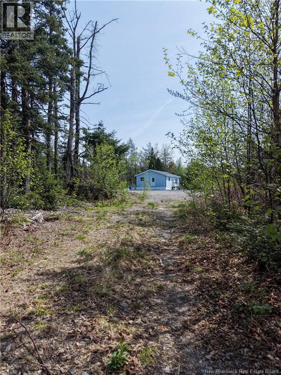 653 Route 175, Pennfield, New Brunswick E5H 0B5 - Photo 28 - NB139829