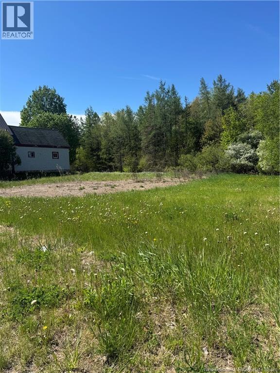 62 Church Street, St. Stephen, New Brunswick  E3L 1M5 - Photo 2 - NB139921