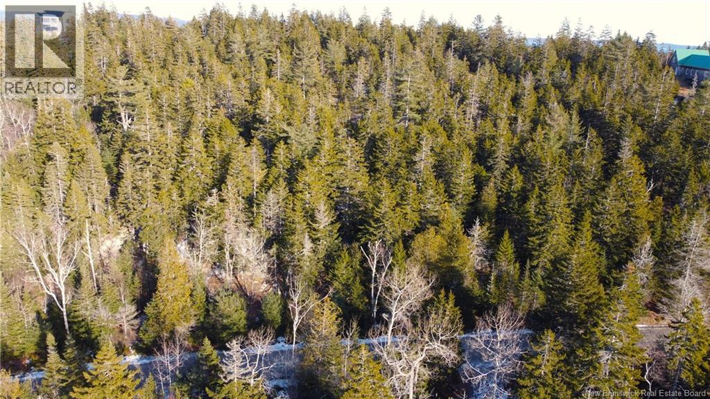 Lot 29 Kilmarnock Head, Chamcook, New Brunswick  E5B 0A8 - Photo 14 - NB140510