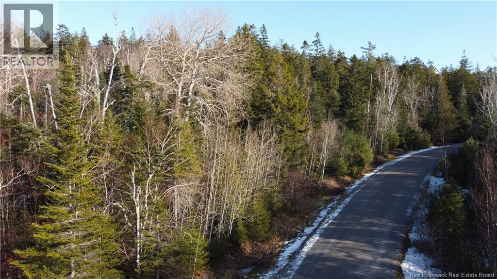 Lot 29 Kilmarnock Head, Chamcook, New Brunswick  E5B 0A8 - Photo 7 - NB140510