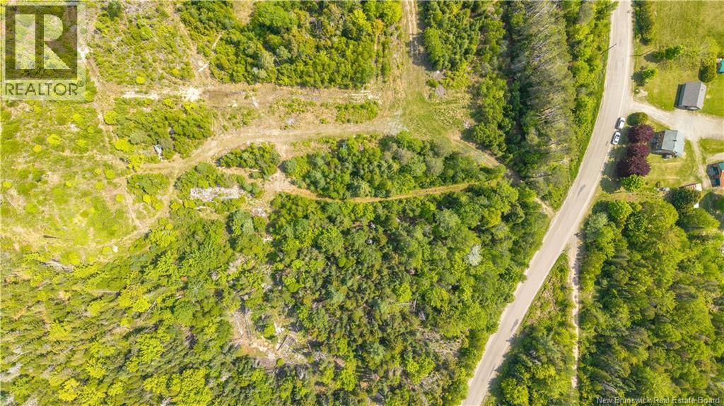 000 Route 770, Rollingdam, New Brunswick  E5A 2Z9 - Photo 10 - NB140700