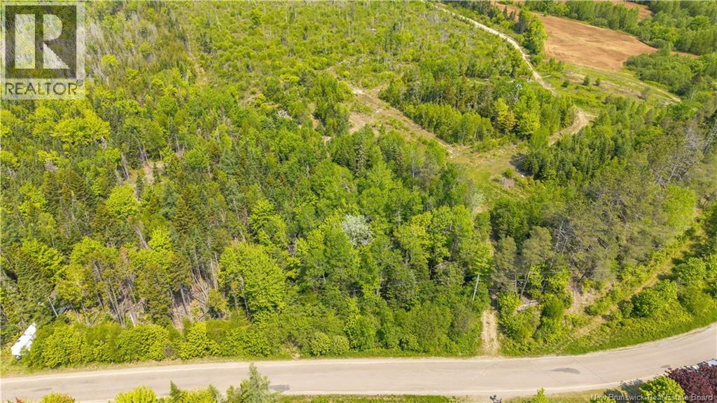 000 Route 770, Rollingdam, New Brunswick  E5A 2Z9 - Photo 13 - NB140700
