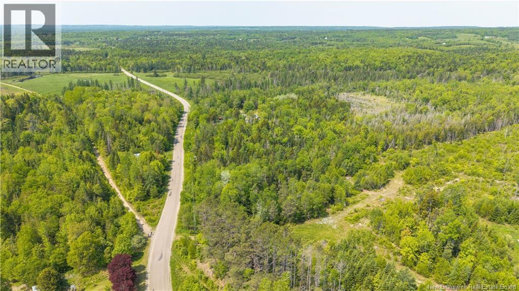 000 Route 770, Rollingdam, New Brunswick  E5A 2Z9 - Photo 17 - NB140700
