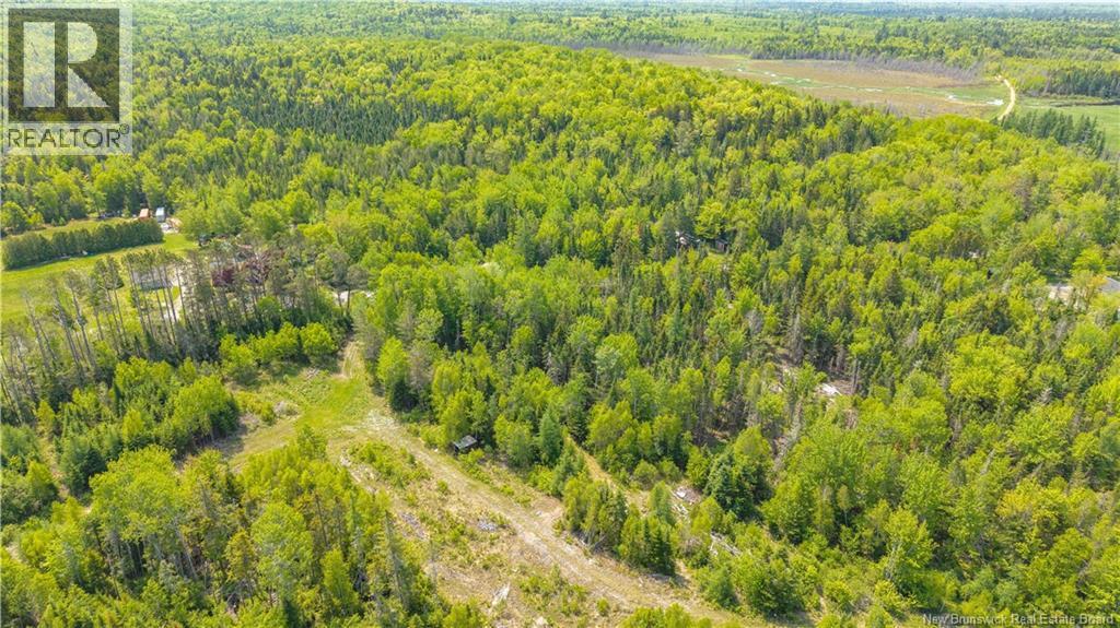 000 Route 770, Rollingdam, New Brunswick  E5A 2Z9 - Photo 19 - NB140700