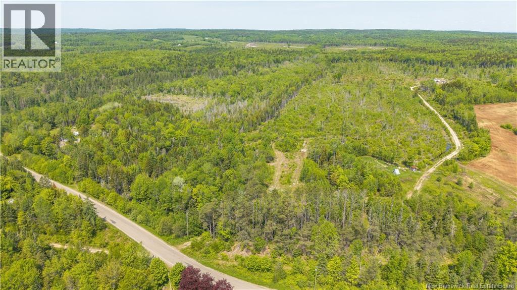000 Route 770, Rollingdam, New Brunswick  E5A 2Z9 - Photo 3 - NB140700