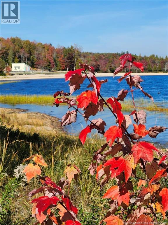 101 Maxwell Road, Canal, New Brunswick E5C 1K2 - Photo 33 - NB140298