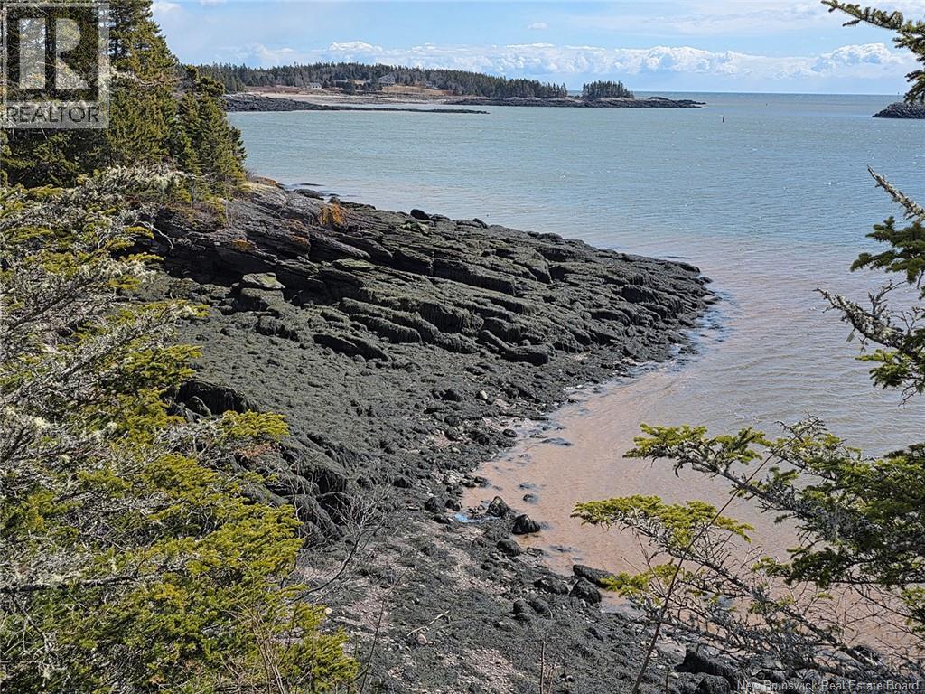 1456 Highway 790, Dipper Harbour, New Brunswick E5J 1X9 - Photo 8 - NB140745