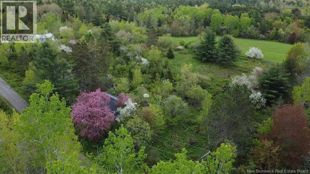 196 Ledge Road, Dufferin, New Brunswick E3L 3P2 - Photo 2 - NB140566
