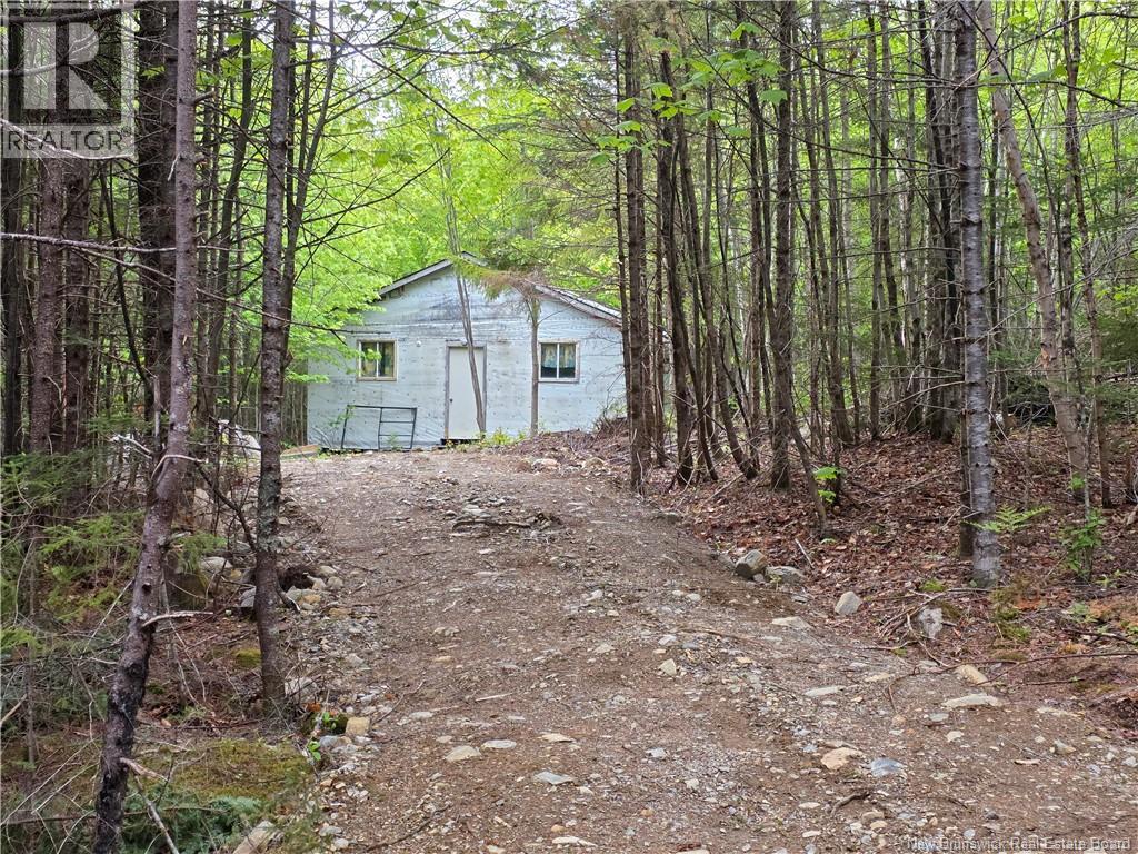259 Hillard Farm Road, St George, New Brunswick  E5A 2X6 - Photo 7 - NB140489